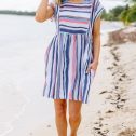 100069.Lets-Go-Westward-Navy-Blue-Striped-Dress-2