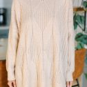 107054.Walk-The-Walk-Taupe-Brown-Sweater__copy_2