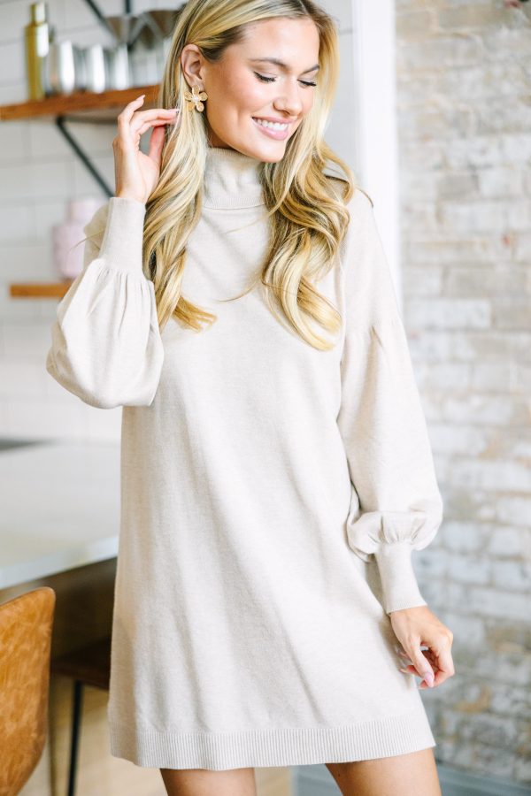 107501.Wherever-You-Go-Oatmeal-Brown-Turtleneck-Sweater-Dress__copy_1
