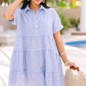 108541.All-You-Need-To-Hear-Light-Blue-Striped-Babydoll-Dress__copy_1