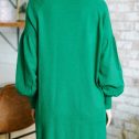 109785.Wherever-You-Go-Kelly-Green-Turtleneck-Sweater-Dress__copy_3