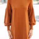 109787.Wherever-You-Go-Brown-Turtleneck-Sweater-Dress__copy_2