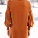 109787.Wherever-You-Go-Brown-Turtleneck-Sweater-Dress__copy_3
