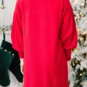 110106.Wherever-You-Go-Red-Turtleneck-Sweater-Dress__copy_1