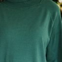 110107.Wherever-You-Go-Emerald-Green-Turtleneck-Sweater-Dress