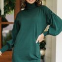 110107.Wherever-You-Go-Emerald-Green-Turtleneck-Sweater-Dress__copy_3