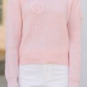 111322.Happy-Travels-Pink-Rose-Embellished-Sweater.7138594553914__copy_2